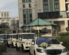 Maybach 2020 icarəsi