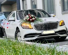 Mercedes S Class icarəsi